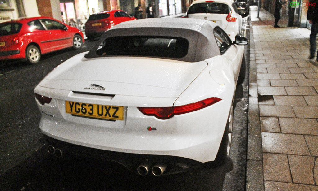 jaguar (96)