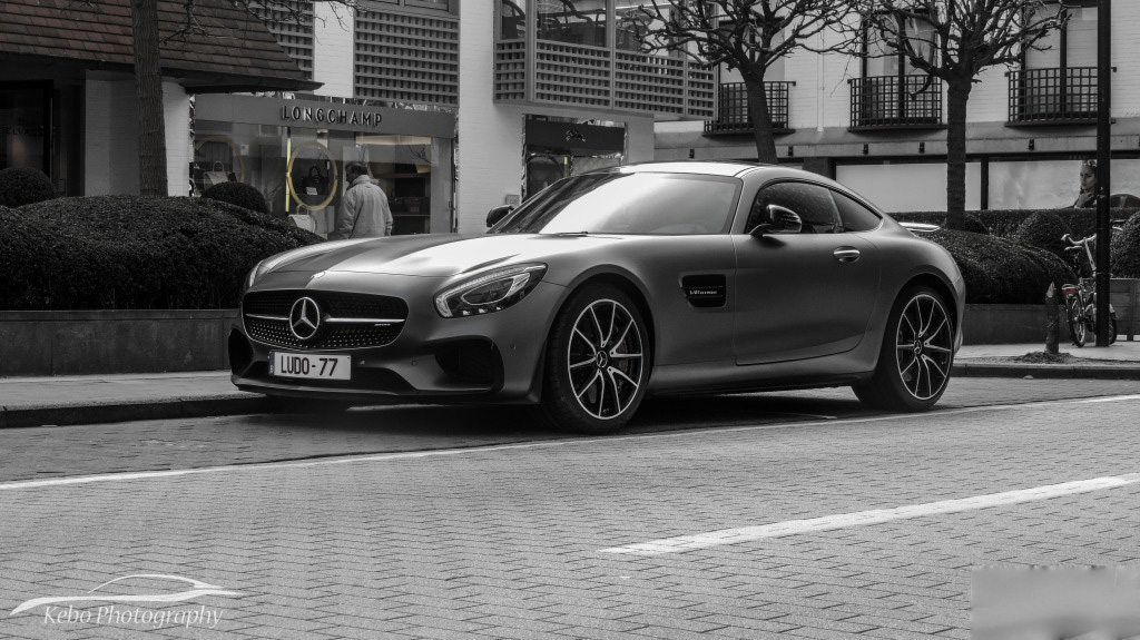 amg-gt-s-edition-1 (8)