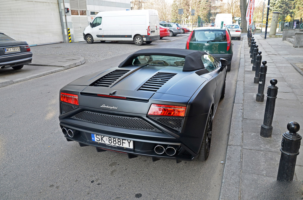 gallardo (11)