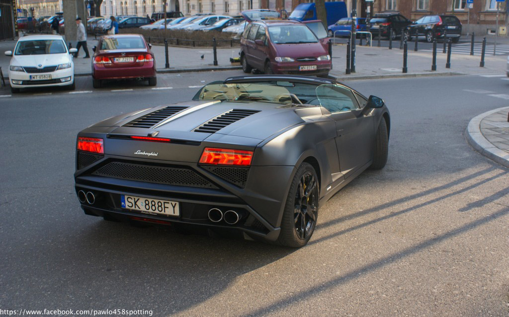 gallardo (16)