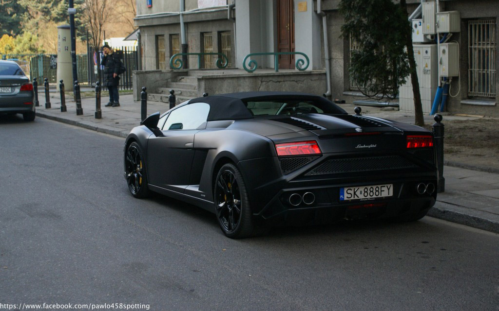 gallardo (17)