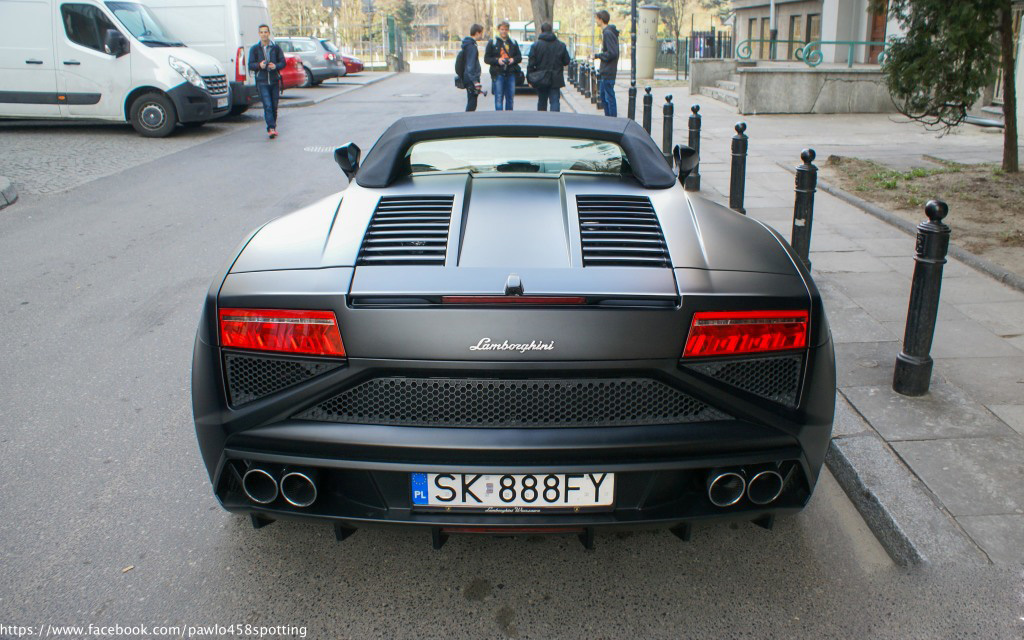 gallardo (20)