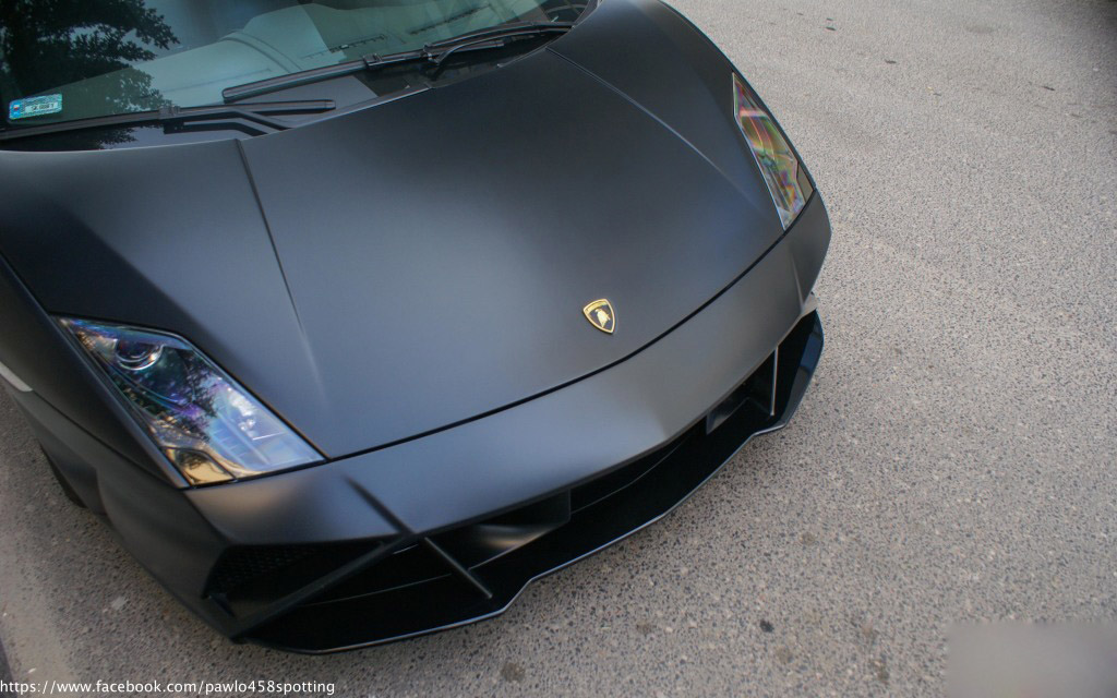 gallardo (2)