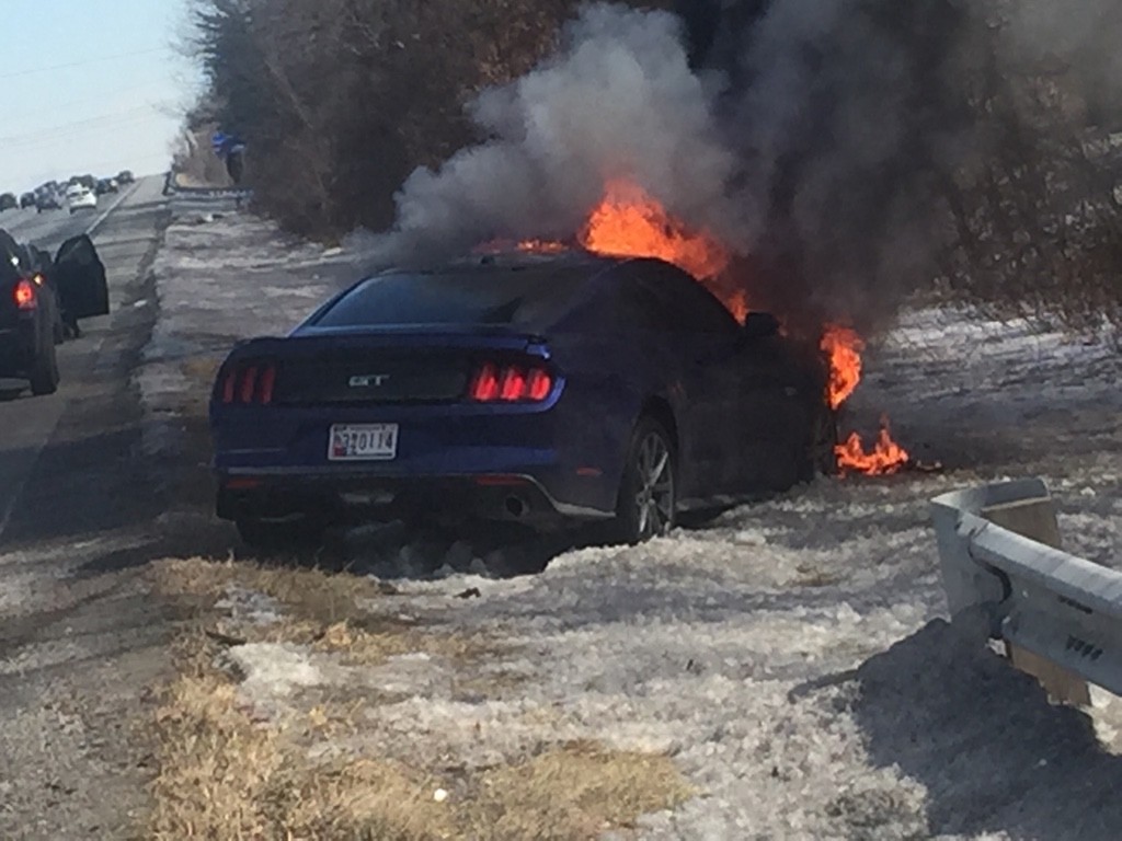mustang (4)