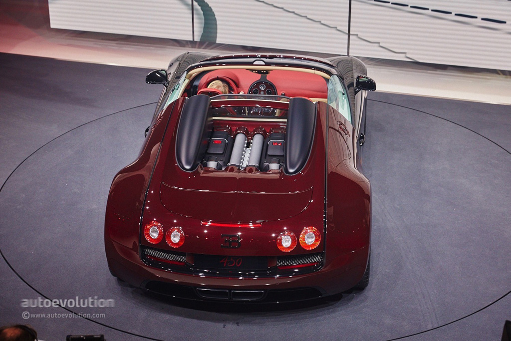 veyron (10)