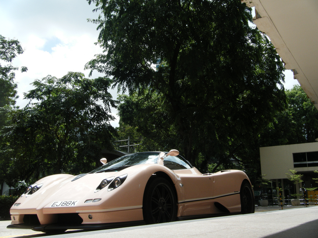 zonda (6)