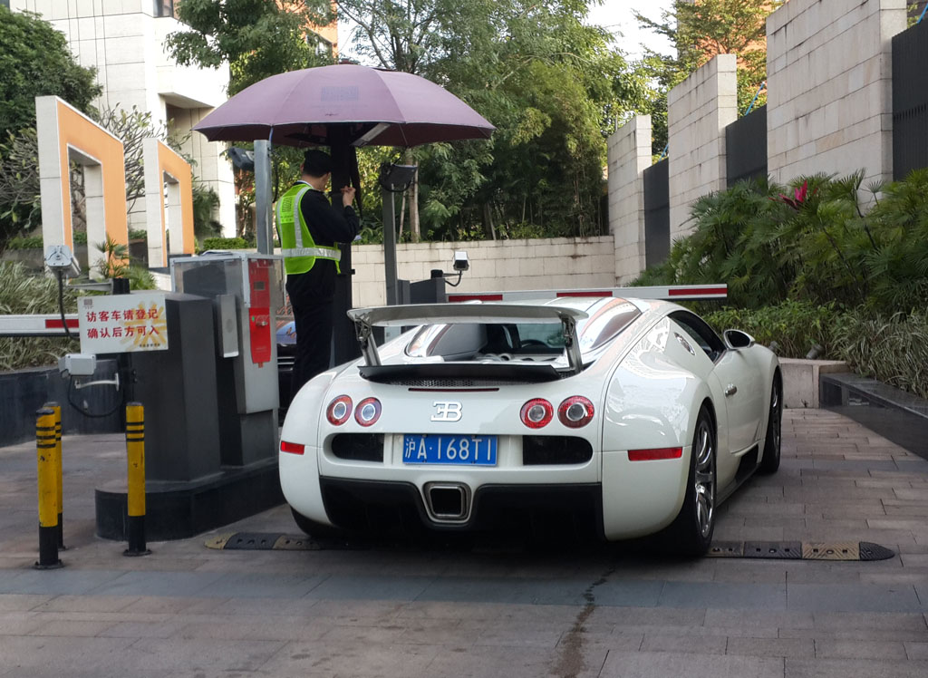 veyron (7)