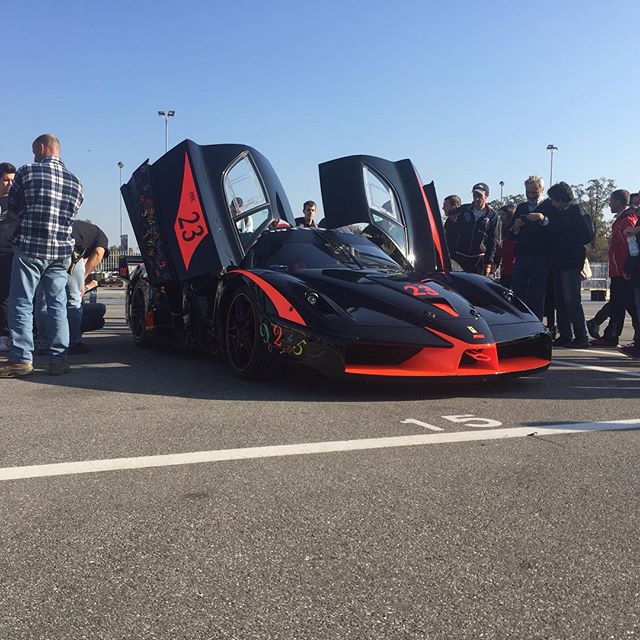 fxx (11)