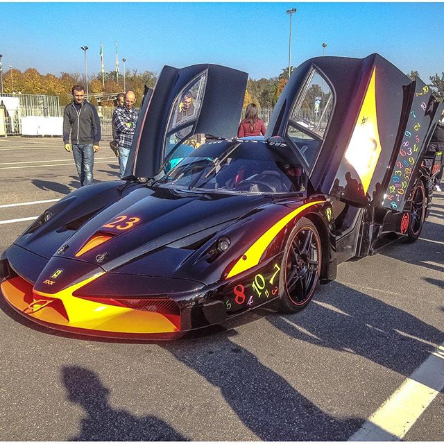 fxx (12)