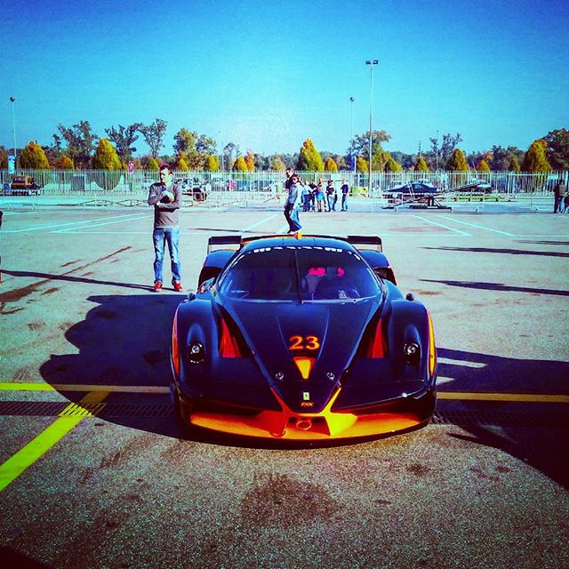 fxx (16)