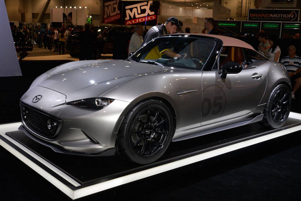sema car (22)