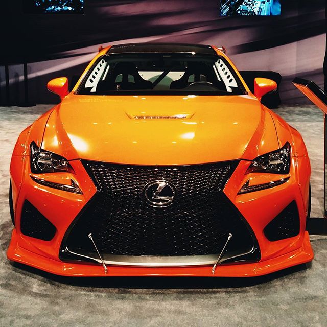 zancar (11)