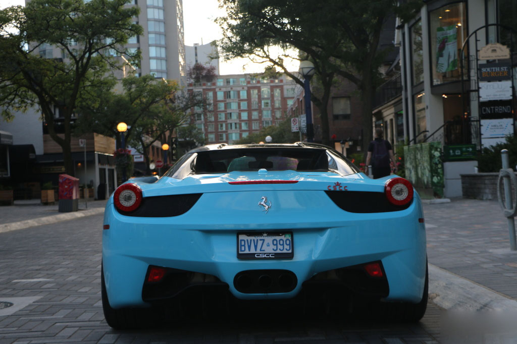 458-spider (10)
