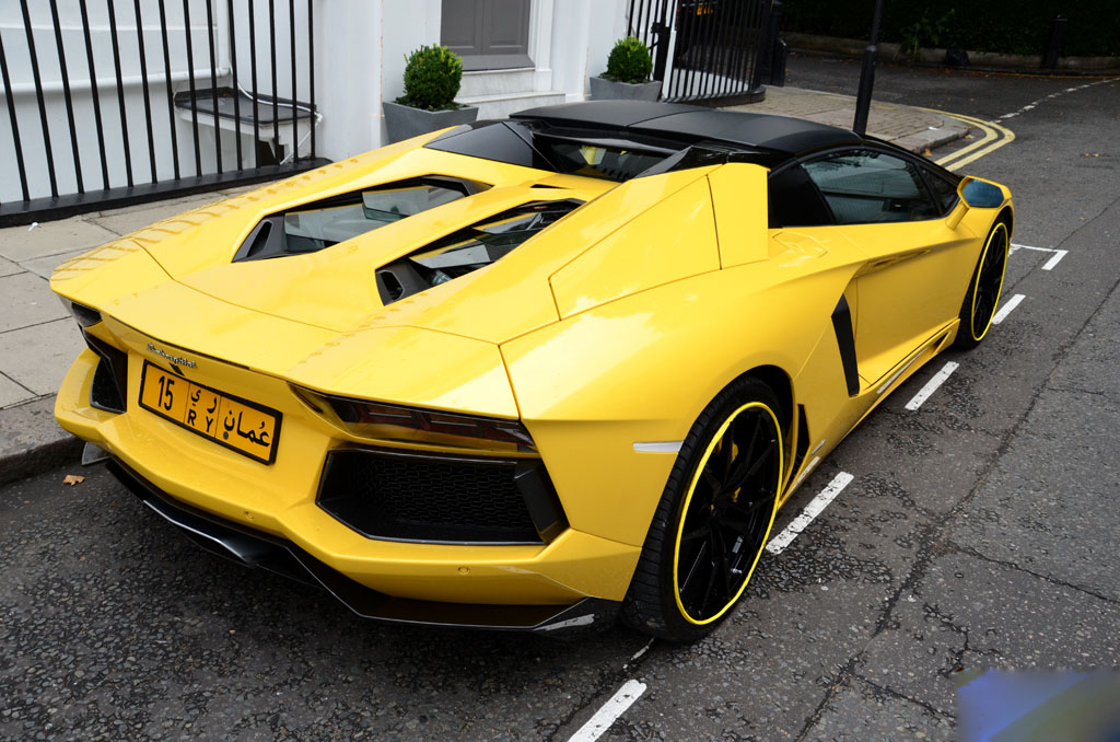 aventador-lp700-4-roadster (10)