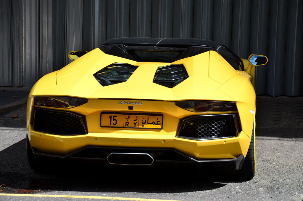 aventador-lp700-4-roadster (99)