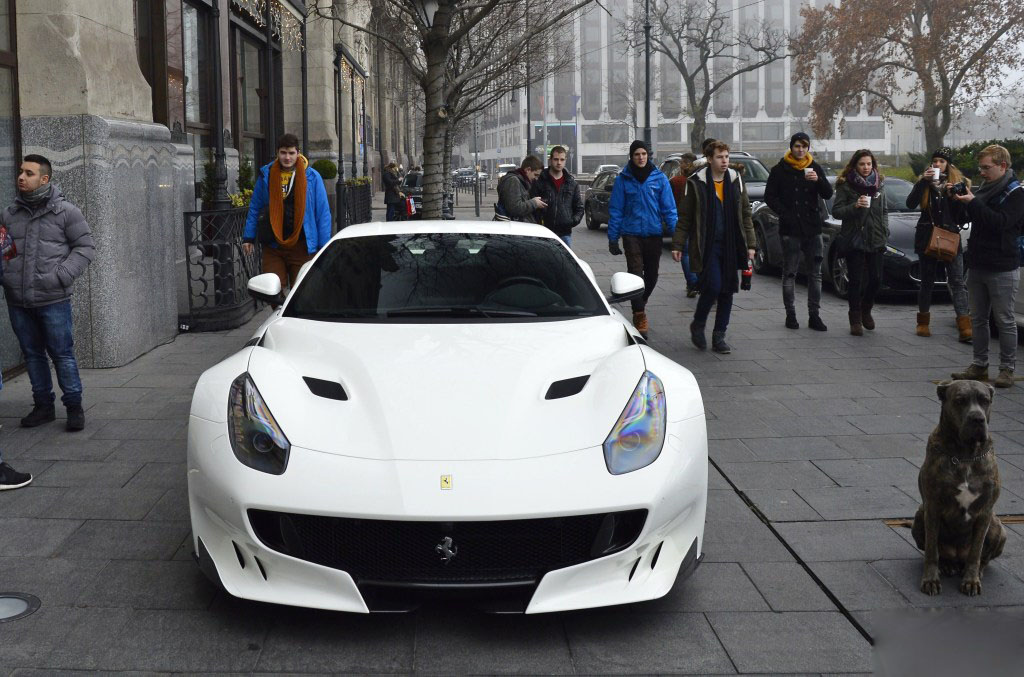 ferrari-f12tdf (8)