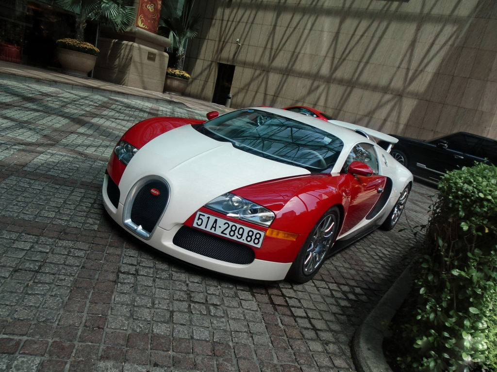 bugatti-veyron (1)