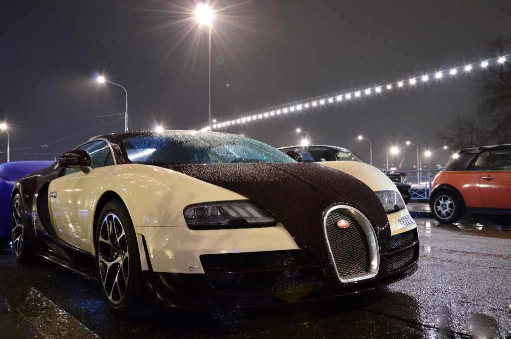 bugatti-veyron (3)