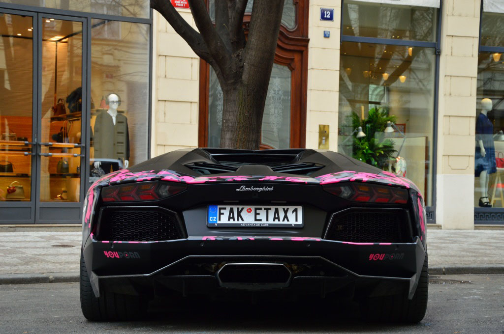 lamborghini-aventador-lp700-4-roadster (97)